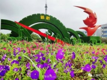 上海松江这里的花坛、花境“上新”啦!特色景观升级!