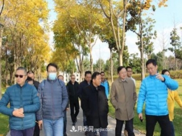提升城市园林绿化，苏州向上海学什么？